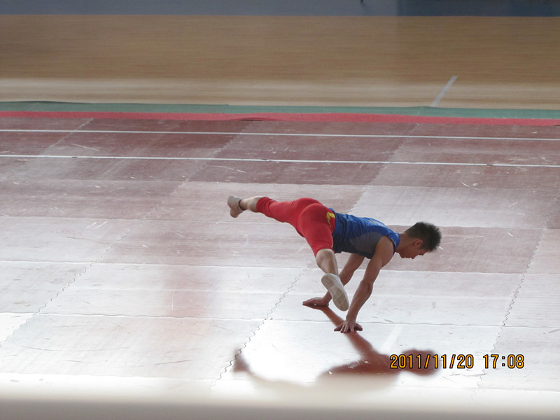 2011��ȫ�������ٹھ���������